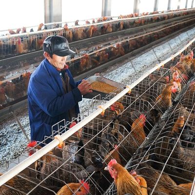 Μεγάλος σβόλος πουλερικών ικανότητας που κατασκευάζει το κοτόπουλο 5mm κουνελιών μηχανών
