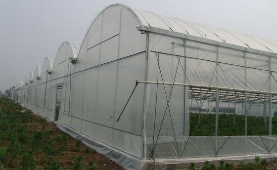 100 μικρού PE ταινιών θερμοκηπίων ενιαίο θερμοκήπιο σηράγγων στρώματος πλαστικό