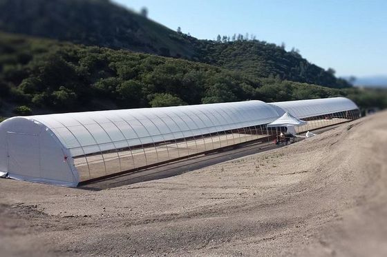 Γαλβανισμένο θερμοκήπιο 3.2m ταινιών PE πλαισίων χάλυβα υψηλό θερμοκήπιο σηράγγων
